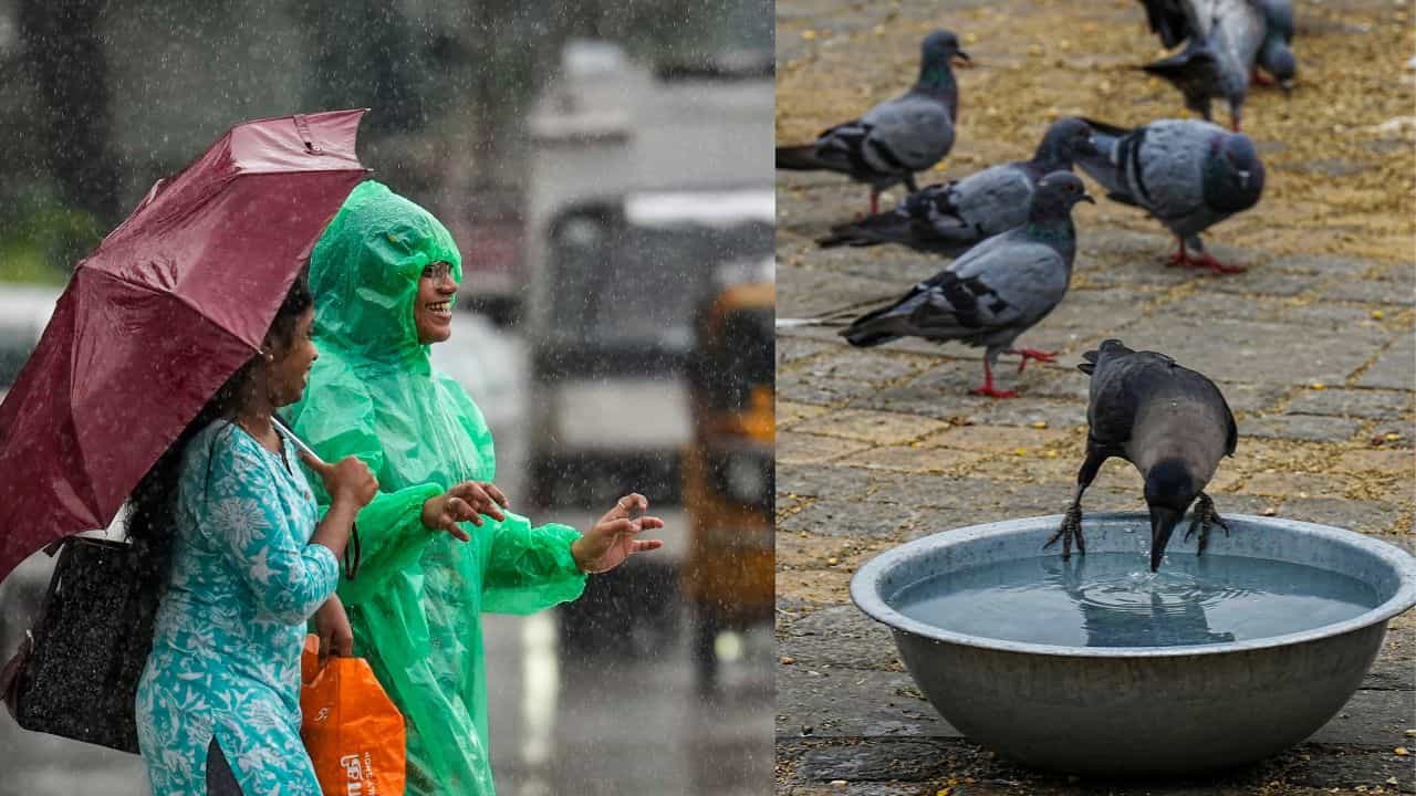 Kerala Weather Update: ഇന്ന് വൈകിട്ട് മഴ പെയ്യും? ചൂടിന് ആശ്വാസം; മുന്നറിയിപ്പുകൾ ഈ ജില്ലകളിൽ