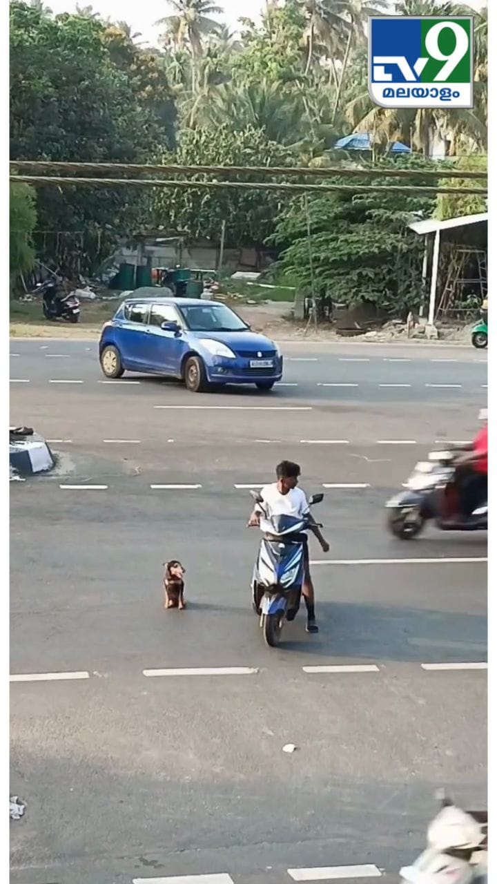 ഇതാണ് യഥാർഥ നന്മമരം, ആ വയ്യാത്ത നായയ്ക്ക് വേണ്ടി യുവാവ് ചെയ്തത്...