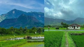 പച്ചപ്പിൻ്റെ പറുദീസ; ഇതാണോ കേരളത്തിലെ ഏറ്റവും മനോഹരമായ ഗ്രാമം?
