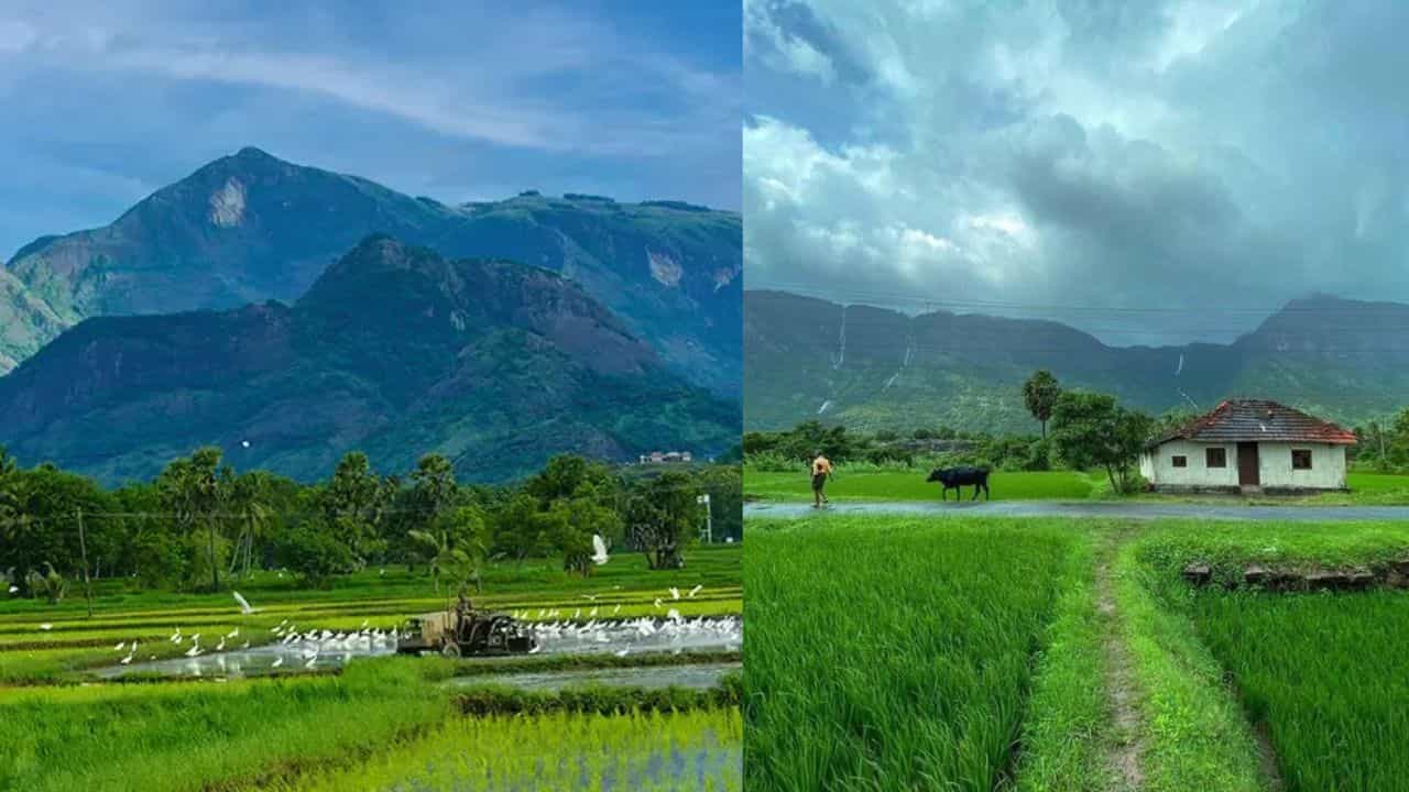 Kollengode Village: പച്ചപ്പിൻ്റെ പറുദീസ; ഇതാണോ കേരളത്തിലെ ഏറ്റവും മനോഹരമായ ഗ്രാമം?