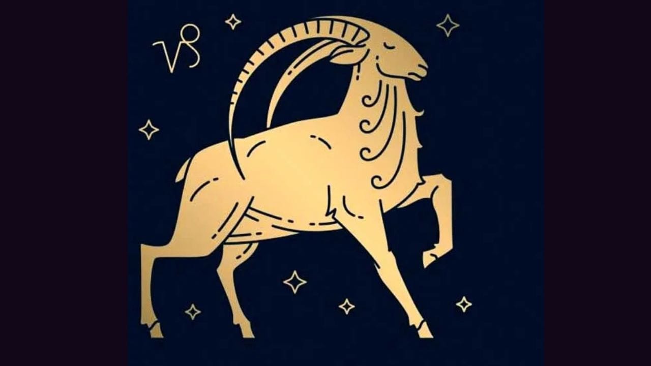  മകരം: മകരം രാശിക്കാർക്ക് ശുക്രൻ്റെ സംക്രമണം അനുകൂല ഫലങ്ങൾ നൽകും. ഭൂമി അല്ലെങ്കിൽ സ്വത്ത് സംബന്ധമായ തർക്കങ്ങൾ പരിഹരിക്കപ്പെടാൻ സാധ്യത.  വാഹനമോ വാങ്ങിക്കാൻ അനുകൂലമായ സമയം. മൊത്തത്തിൽ ഈ സംക്രമണം നിങ്ങൾക്ക് അനുകൂലമായ ഫലങ്ങൾ കൊണ്ടു വരും. കഠിനപ്രയത്നങ്ങൾ വെറുതേയാകില്ലെന്നും സൂചന.(PHOTO: TV9 NETWORK)