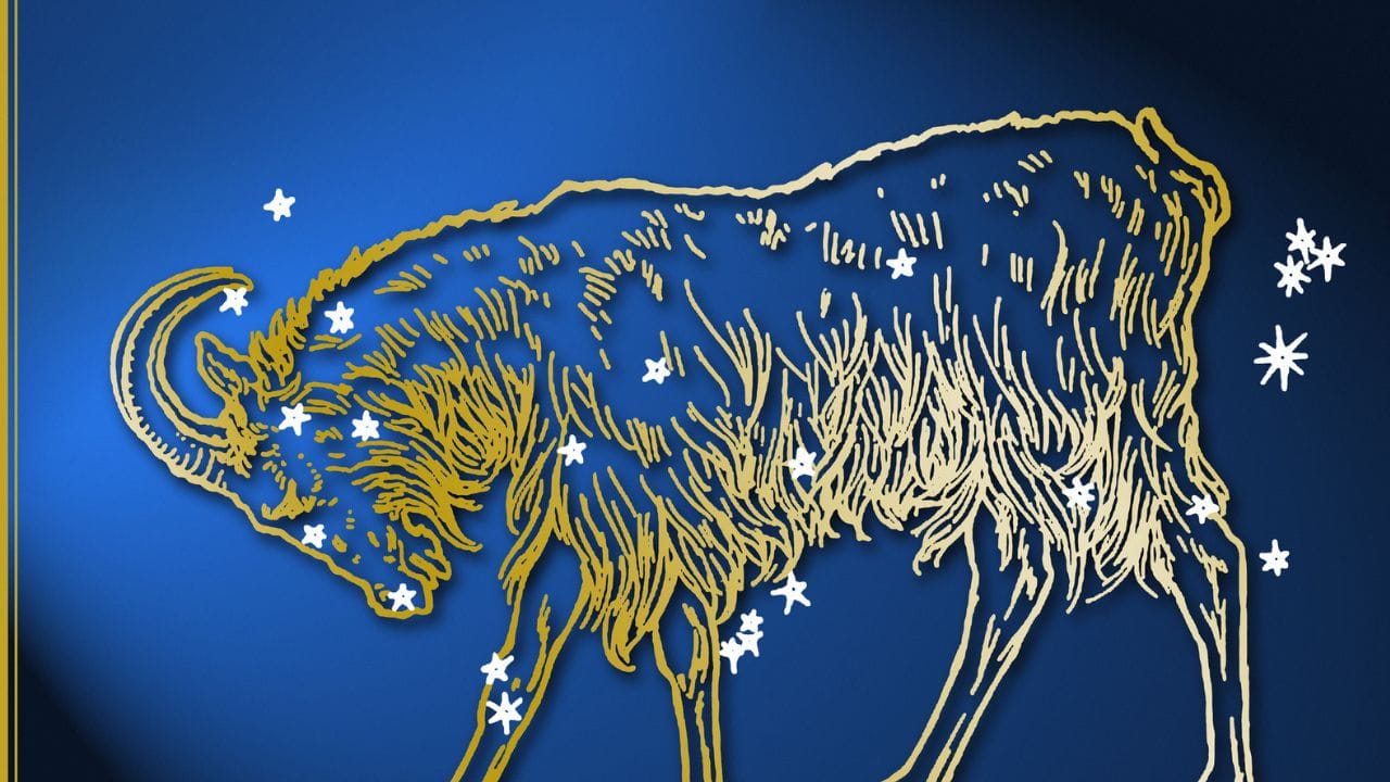 മകരം: മകരം രാശിയുടെ നാലാം ഭാവത്തിലാണ് ശുക്രൻ്റെ സഞ്ചാരം. നിങ്ങൾക്ക് പൊതുവിൽ അലച്ചിലും വിഷമതകളും നേരിട്ടേക്കാം. കുടുംബത്തിൽ പല പ്രശ്നങ്ങളും നേരിടേണ്ടതായി വരും. ശത്രുക്കളിൽ നിന്നും കടുത്ത മത്സരം നേരിടേണ്ടതായി വരാം. അത് നിങ്ങളുടെ പ്രധാനപ്പെട്ട പല കാര്യങ്ങളെയും ബാധിക്കാൻ സാധ്യത.(photo: getty images)
