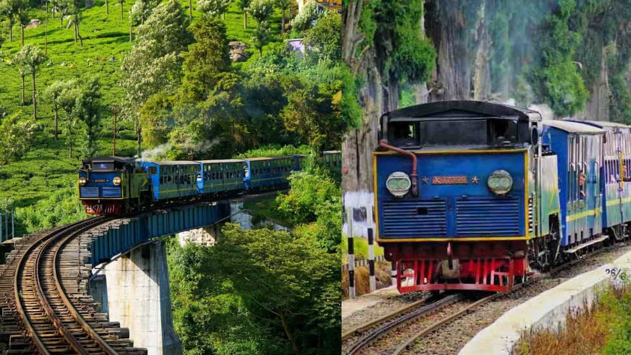 Summer Ooty Travel: വെറും 186 രൂപയ്ക്ക് ഊട്ടിയിലേക്ക് വിട്ടാലോ?; സ്പെഷ്യൽ ട്രെയിനും കെഎസ്ആർടിസിയും റെഡി Summer Ooty Travel: വെറും 186 രൂപയ്ക്ക് ഊട്ടിയിലേക്ക് വിട്ടാലോ?; സ്പെഷ്യൽ ട്രെയിനും കെഎസ്ആർടിസിയും റെഡി
