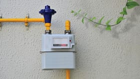 എല്‍പിജിയേക്കാള്‍ ലാഭം പിഎന്‍ജിയോ? എന്തുകൊണ്ട് മികച്ചതാകുന്നു?