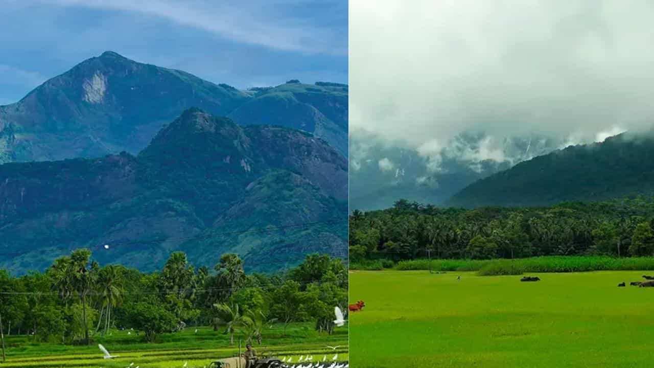 Kava: മലമ്പുഴയുടെ പിന്നിലുള്ള ഈ കാശ്മീർ കണ്ടിട്ടുണ്ടോ? സഞ്ചാരികളുടെ പ്രിയപ്പെട്ട കാവ കാണാം