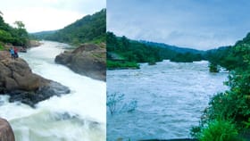 പമ്പയുടെ മാറിൽ വിരിഞ്ഞ 'തേൻ നദി'; പെരുന്തേനരുവി കാണാം പോകാം