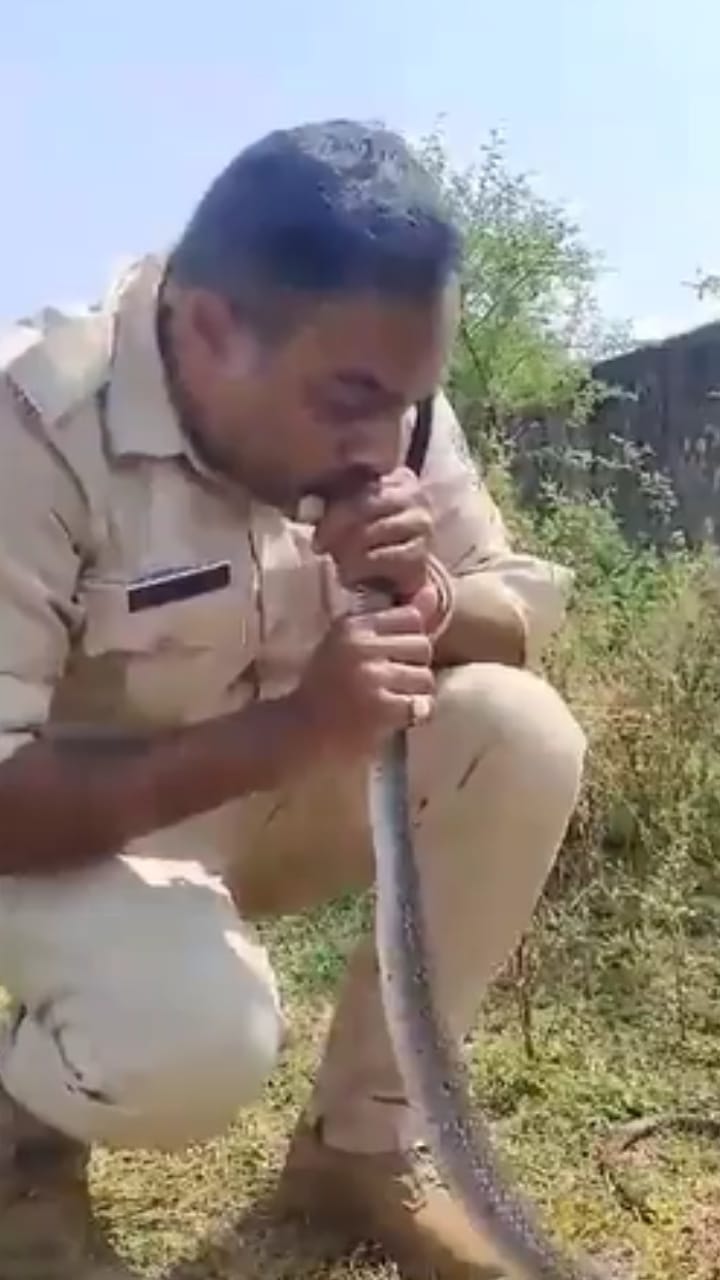 ബോധം കെട്ട പാമ്പിന് സിപിആർ