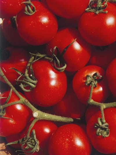 വളരെ സിമ്പിള്‍; ഇങ്ങനെ ചെയ്താല്‍ തക്കാളി ചീഞ്ഞുപോകില്ല