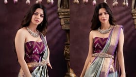 Aadu 3: ഞാനെന്റെ 100 ശതമാനം കൊടുത്തിട്ടുണ്ട് സുല്‍ത്താന്, പ്രേക്ഷകര്‍ക്ക് വേണ്ടിയാണല്ലോ എല്ലാം ചെയ്യുന്നത്: വേദിക...