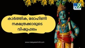 ധനലാഭം, ആഗ്രഹസാഫല്യം, കരിയറിൽ പുരോഗതി! കാർത്തിക, രോഹിണി...