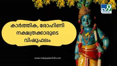 Vishu Phalam 2026: ധനലാഭം, ആഗ്രഹസാഫല്യം, കരിയറിൽ പുരോഗതി! കാർത്തിക, രോഹിണി നക്ഷത്രക്കാരുടെ വിഷുഫലം