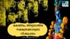 വിവാഹം, കാര്യവിജയം, മനക്ലേശം! മകയിരം, തിരുവാതിര നക്ഷത്രക്കാരുടെ.....