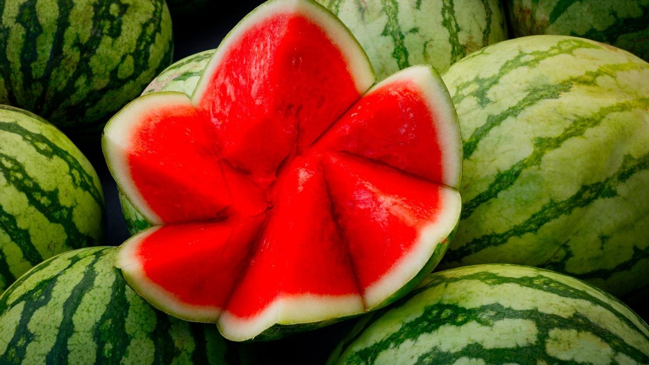 കുറഞ്ഞ കലോറിയും ഉയർന്ന അളവിൽ വിറ്റാമിനുകളും അടങ്ങിയ തണ്ണിമത്തൻ തോട് ആരോഗ്യ സംരക്ഷണത്തിന് മികച്ചതാണ്. വിറ്റാമിൻ എ, ബി6, സി എന്നിവയ്ക്ക് പുറമെ പൊട്ടാസ്യം, സിങ്ക് എന്നിവയാൽ സമ്പന്നമാണ് പുറംതോട്. ഇതിലടങ്ങിയിരിക്കുന്ന ധാരാളം നാരുകൾ ദഹനപ്രക്രിയ സുഗമമാക്കാൻ സഹായിക്കുന്നു.