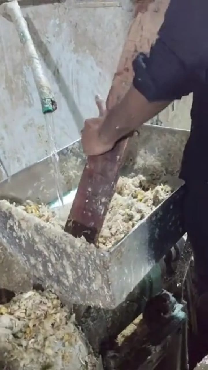 എങ്ങനെ ഇതൊക്കെ വിശ്വസിച്ച് മേടിക്കും? മായം കലര്‍ന്ന 'ജിഞ്ചര്‍-ഗാര്‍ലിക്' പേസ്റ്റ് ഉണ്ടാക്കുന്നു