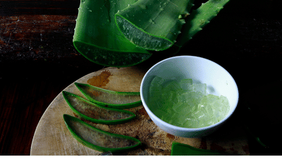 Aloe Vera: കറ്റാർവാഴ ഉണ്ടോ? ഷാംപൂ വാങ്ങിക്കേണ്ട, എളുപ്പത്തിൽ തയ്യാറാക്കാം
