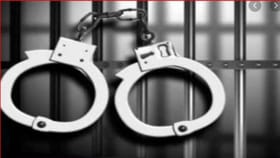 കൊച്ചിയിൽ വൻ ലഹരിവേട്ട; ഡോക്ടറും അഭിഭാഷകനും അടക്കം 8 പേർ പിടിയിൽ