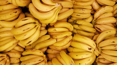 Banana: വെറുംവയറ്റിൽ പഴം കഴിക്കാമോ? ആരോഗ്യവിദഗ്ധർ പറയുന്നത് ഇങ്ങനെ... Banana: വെറുംവയറ്റിൽ പഴം കഴിക്കാമോ? ആരോഗ്യവിദഗ്ധർ പറയുന്നത് ഇങ്ങനെ...