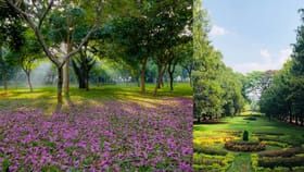 ബെം​ഗളൂരു യാത്രയിൽ ഈ സ്ഥലങ്ങൾ കണ്ടില്ലെങ്കിൽ നഷ്ടം...