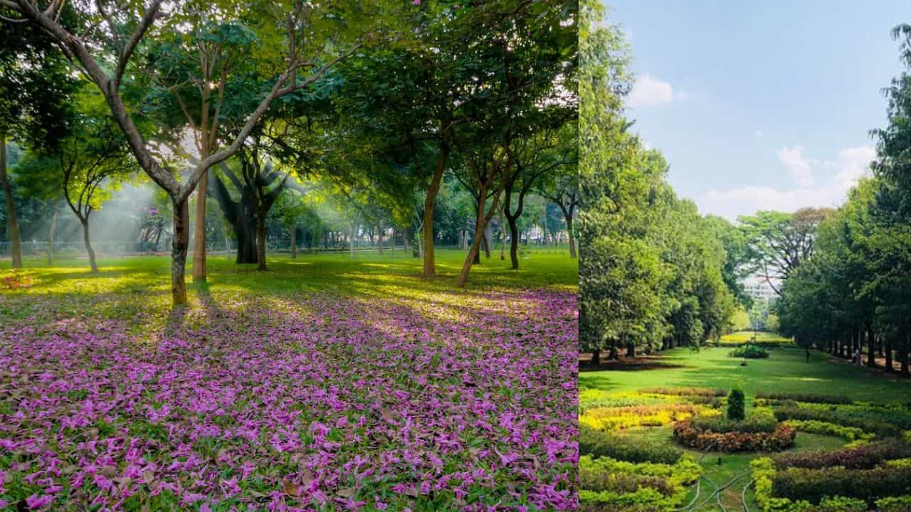 Bengaluru Travel: ബെംഗളൂരു യാത്രയിൽ ഈ സ്ഥലങ്ങൾ കണ്ടില്ലെങ്കിൽ നഷ്ടം; വെറും ഒരു മണിക്കൂർ പോയാൽ മതി Bengaluru Travel: ബെംഗളൂരു യാത്രയിൽ ഈ സ്ഥലങ്ങൾ കണ്ടില്ലെങ്കിൽ നഷ്ടം; വെറും ഒരു മണിക്കൂർ പോയാൽ മതി