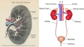 എസ്എസ്എൽസി അവസാന പരീക്ഷ നാളെ; ബയോളജിയിൽ എ പ്ലസ് വേണ്ടേ...