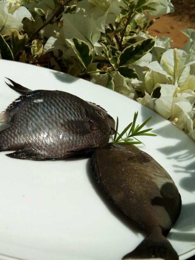 കൈമുറിയാതെ കരിമീൻ വൃത്തിയാക്കണോ?