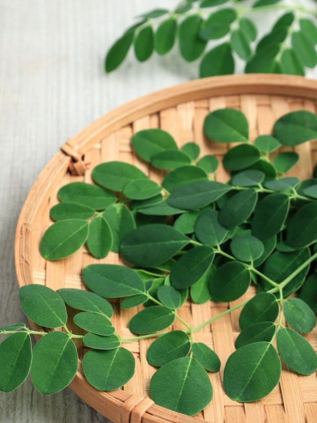 മുടി കൊഴിച്ചിലും താരനും മാറിനിൽക്കും; മുരിങ്ങയിലുണ്ട് മാജിക്