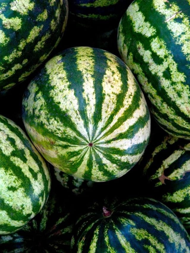 പ്രമേഹരോ​ഗികൾക്ക് തണ്ണിമത്തൻ കഴിക്കാമോ?