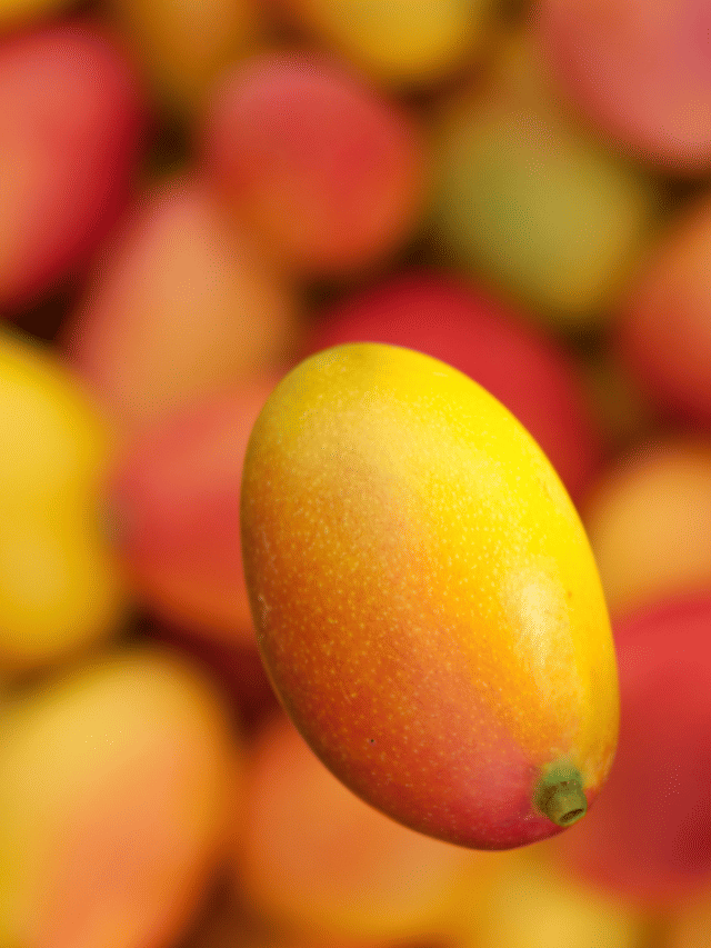 ഗുണം കൂടുതൽ പച്ചമാങ്ങയ്ക്കോ മാമ്പഴത്തിനോ?