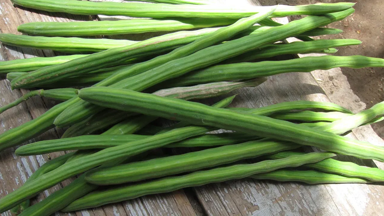 ആരോഗ്യസംരക്ഷണത്തിൽ 'സൂപ്പർ ഫുഡ്' എന്ന് വിളിക്കാവുന്ന ഒന്നാണ് മുരിങ്ങയ്ക്ക. ധാതുക്കളും വിറ്റാമിനുകളും സമൃദ്ധമായി അടങ്ങിയിട്ടുള്ള മുരിങ്ങയ്ക്ക പ്രതിരോധശേഷി വർദ്ധിപ്പിക്കുന്നതിനും അസ്ഥികളുടെ ബലം കൂട്ടുന്നതിനും ഉത്തമമാണ്. 