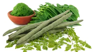 Water: മുപ്പതാം വയസിൽ എത്ര ​ഗ്ലാസ് വെള്ളം കുടിക്കണം? പ്രായത്തിനനുസരിച്ചുള്ള അളവ് ഇതാ