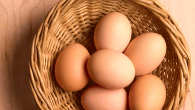 Egg Price: മുട്ട വിലയിൽ വൻ ഇടിവ്, ക‍ർഷകർക്ക് 7 കോടി രൂപ നഷ്ടം