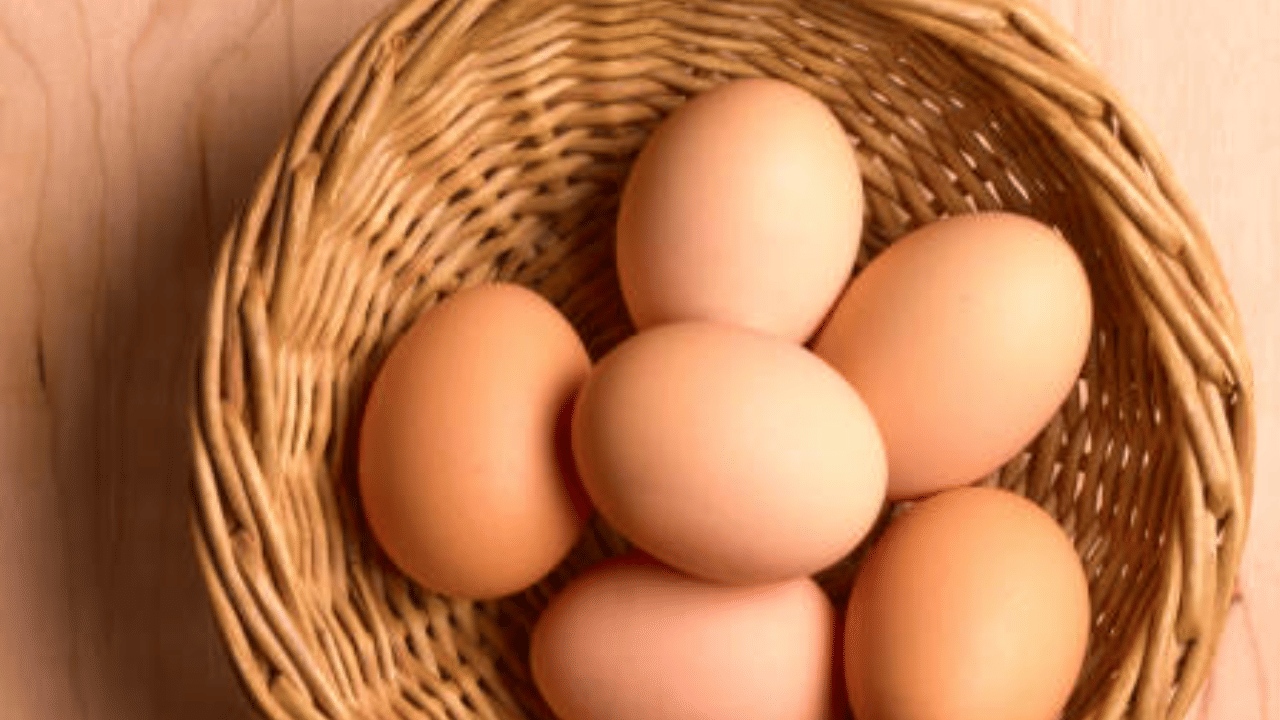Egg Price: മുട്ട വിലയിൽ വൻ ഇടിവ്, കർഷകർക്ക് 7 കോടി രൂപ നഷ്ടം Egg Price: മുട്ട വിലയിൽ വൻ ഇടിവ്, കർഷകർക്ക് 7 കോടി രൂപ നഷ്ടം