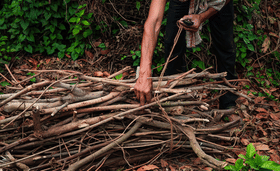 ഗ്യാസ് കിട്ടാനില്ല, വിറകുകൾക്ക് രാജയോഗം, വില കത്തിക്കയറുന്നു
