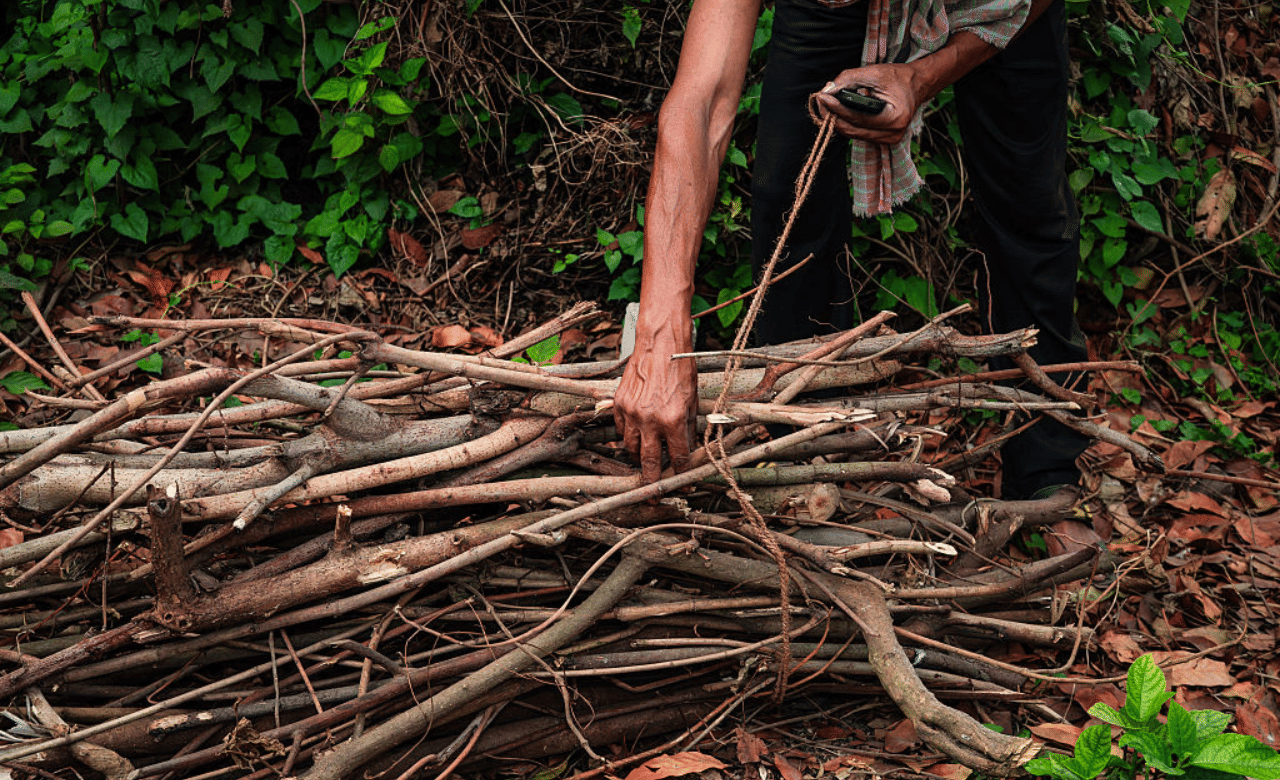 Firewood Price: ഗ്യാസ് കിട്ടാനില്ല, വിറകുകൾക്ക് രാജയോഗം, വില കത്തിക്കയറുന്നു Firewood Price: ഗ്യാസ് കിട്ടാനില്ല, വിറകുകൾക്ക് രാജയോഗം, വില കത്തിക്കയറുന്നു