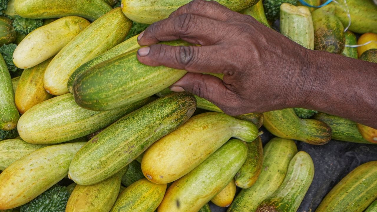അമിതമായി പാകം ചെയ്യാതെ പച്ചയ്ക്ക് കഴിക്കുന്നതാണ് വെള്ളരിക്കയുടെ ഗുണങ്ങൾ പൂർണ്ണമായി ലഭിക്കാൻ ഉത്തമം. വേനൽക്കാലത്ത് ദാഹം ശമിപ്പിക്കാനും ശരീരക്ഷീണം മാറ്റാനും ഉപ്പും കുരുമുളകും ചേർത്ത വെള്ളരിക്ക കഷ്ണങ്ങൾ ശീലമാക്കാം. ഇനി കറികളിലെ പ്രധാനിയും സാലഡിലെ താരവും വെള്ളരിക്ക ആയിക്കോട്ടെ.