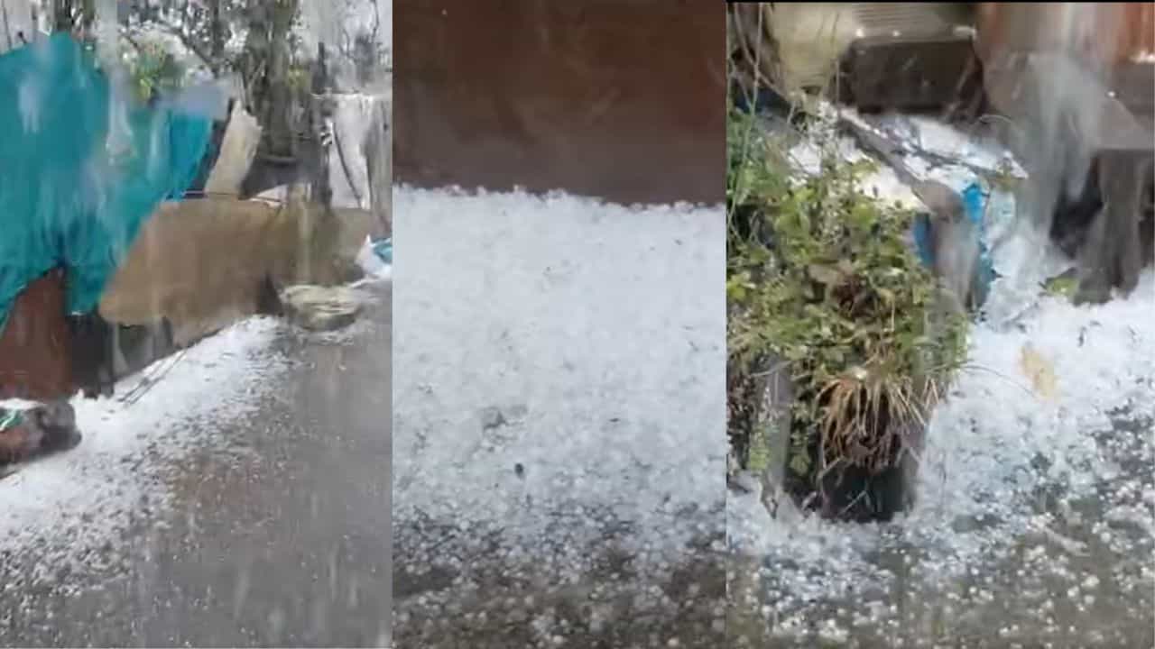 Kerala Hailstorm: വേനൽ ചൂടിന് ആശ്വാസമേകി ഹൈറേഞ്ചിൽ കൗതുകക്കാഴ്ച; മൂന്നാറിലും ദേവികുളത്തും ആലിപ്പഴ വർഷം Kerala Hailstorm: വേനൽ ചൂടിന് ആശ്വാസമേകി ഹൈറേഞ്ചിൽ കൗതുകക്കാഴ്ച; മൂന്നാറിലും ദേവികുളത്തും ആലിപ്പഴ വർഷം