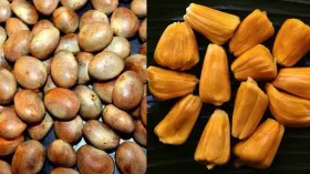 Jackfruit Seed Olan: ചക്കക്കുരു കൊണ്ടൊരു വെറൈറ്റി വിഭവമായാലോ? 10 മിനിറ്റിൽ ഉച്ചയ്ക്കുള്ള കറി റെഡി...