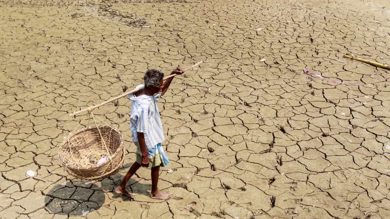 Kerala Weather Update: സൂര്യൻ കലിപ്പിൽ! കേരളം ചുട്ടുപൊള്ളുന്നു; ഉടനെങ്ങും മഴയില്ല, കാലാവസ്ഥ ഇങ്ങനെ