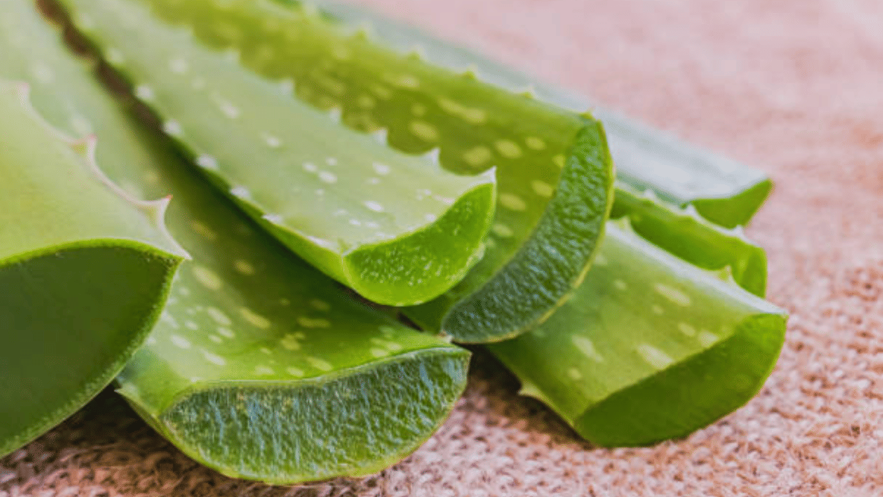 അതുപോലെ കറ്റാർവാഴ ജെല്ലിലെ അലോയിൻ എന്ന ഘടകവും പിഗ്മെന്റേഷൻ കുറയ്ക്കാൻ സഹായിക്കും. കറ്റാർവാഴ ജെൽ എടുത്ത് ചുണ്ടിന് ചുറ്റും പുരട്ടുക. ഉണങ്ങിയ ശേഷം കഴുകിക്കളയാം. രാത്രി ഉറങ്ങുന്നതിന് മുൻപ് പുരട്ടുന്നത് കൂടുതൽ ഫലം നൽകുന്നതാണ്.