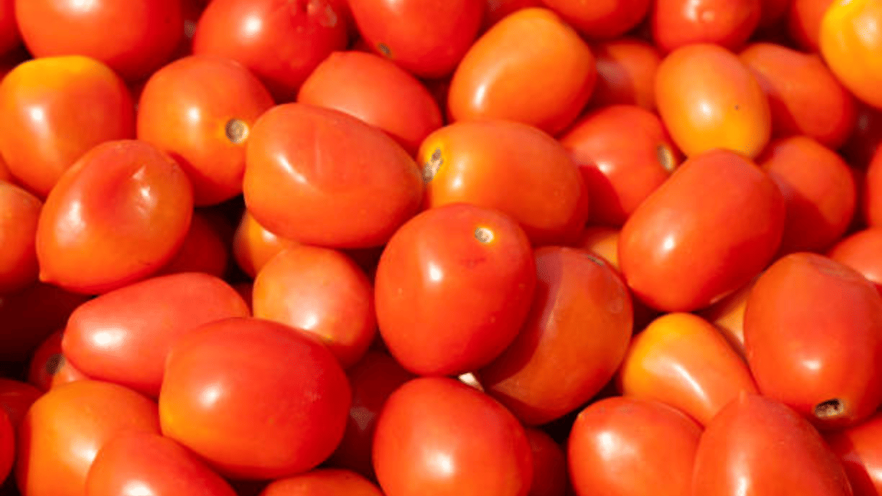 തക്കാളിയിൽ അടങ്ങിയിരിക്കുന്ന ലൈക്കോപ്പീൻ സൂര്യപ്രകാശം മൂലമുണ്ടാകുന്ന കരുവാളിപ്പ് മാറ്റും. തക്കാളി നീര് കറുപ്പുള്ള ഭാഗത്ത് പുരട്ടി 15 മിനിറ്റ് വെക്കുന്നതും ഫലം നൽകുന്നതാണ്. (Image Credit: Getty)