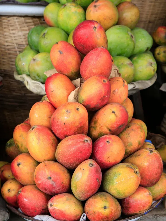 പഴുത്ത മാങ്ങയുണ്ടോ? എന്നാല്‍ വേഗം ഉപ്പിലിടാം