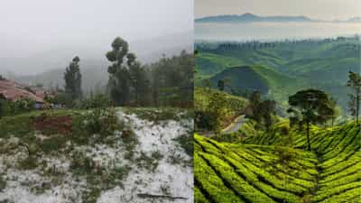 Ooty: ഊട്ടിയിൽ ആലിപ്പഴ വർഷവും കൊടും തണുപ്പും: വിനോദസഞ്ചാരികൾ ഇതൊന്ന് ശ്രദ്ധിക്കണേ