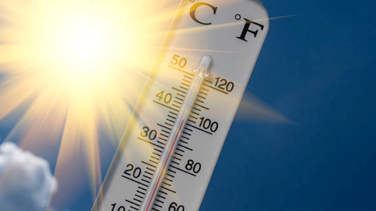 Kerala Weather Update: ചൂടിൽ വെന്തുരുകും, ആശ്വാസ മഴ പെയ്യുമോ? ഇന്നത്തെ കാലാവസ്ഥ