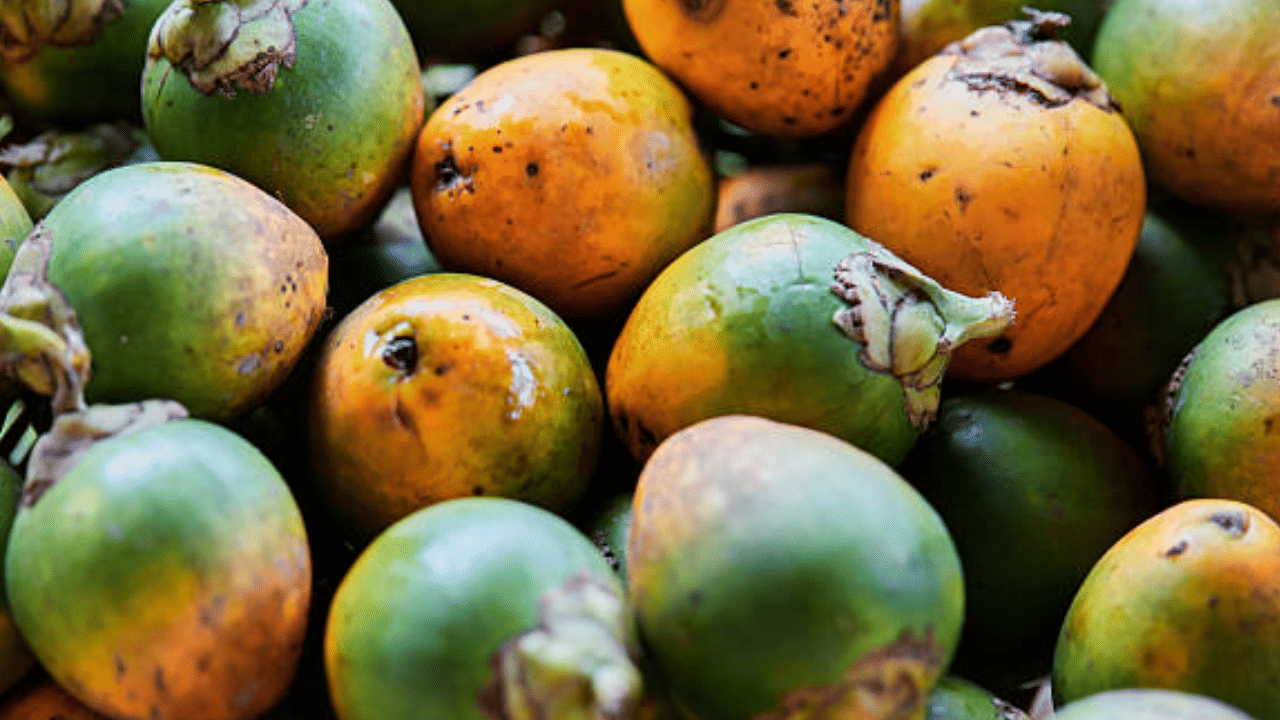 റെക്കോർഡ് വിലയുമായി അടയ്ക്കയുടെ മുന്നേറ്റം. കർഷകർക്ക് ആശ്വാസമായി, ചരിത്രത്തിൽ ആദ്യമായി അടയ്ക്കയുടെ വില കിലോഗ്രാമിന് 500 രൂപയിലെത്തി. തിരിവ് അടയ്ക്കയ്ക്കും വില കൂടി.