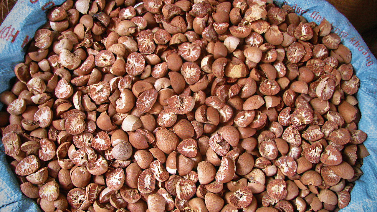 കൂടാതെ, കരിങ്കോട്ടിന് 265 രൂപയായി വില വർദ്ധിച്ചിട്ടുണ്ട്. മാസങ്ങൾക്കു മുമ്പ് കരിങ്കോട്ടിനു കിലോയ്ക്ക് 110 രൂപ മാത്രമായിരുന്നു വില. വടക്കൻ കേരളത്തിലാണ് ഈ വില വർദ്ധനവ്. (Image Credit: Getty Images)