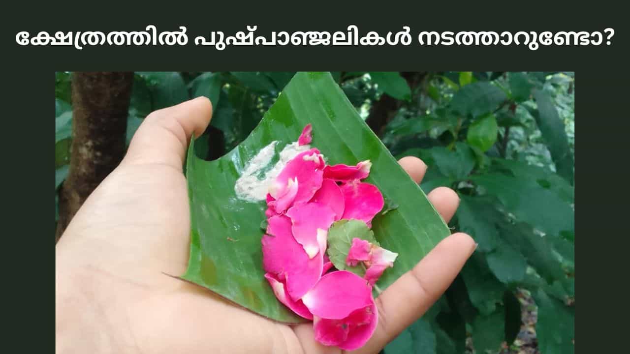 Astrology Tips: ക്ഷേത്രത്തിൽ പുഷ്പാഞ്ജലികൾ നടത്താറുണ്ടോ? ഗുണവും ഫലവും അറിഞ്ഞു ചെയ്യൂ..