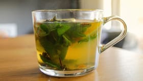 ഏത് ചൂടിലും ശരീരം കൂളാക്കാൻ ഈ ഒരു ഇല മതി; ഭക്ഷണത്തിൽ ചേർത്തോളൂ