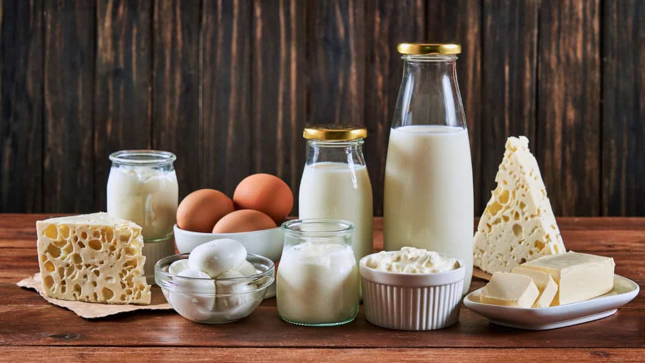 Health Tips: പാലുൽപ്പന്നങ്ങൾ രണ്ടാഴ്ചത്തേക്ക് കഴിക്കാതിരുന്നാൽ ശരീരത്തിന് എന്താണ് സംഭവിക്കുന്നത്? Health Tips: പാലുൽപ്പന്നങ്ങൾ രണ്ടാഴ്ചത്തേക്ക് കഴിക്കാതിരുന്നാൽ ശരീരത്തിന് എന്താണ് സംഭവിക്കുന്നത്?