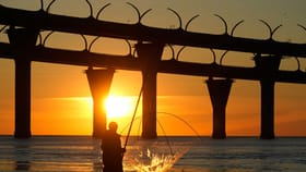 താമസമില്ല, ദാ വന്നു; കൊച്ചി ചിലവന്നൂര്‍ ബണ്ട് പാലം ഉടന്‍ തുറക്കും