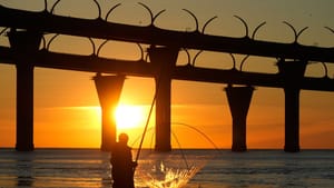 Chilvannoor Bund Bridge: താമസമില്ല, ദാ വന്നു; കൊച്ചി ചിലവന്നൂര്‍ ബണ്ട് പാലം ഉടന്‍ തുറക്കും